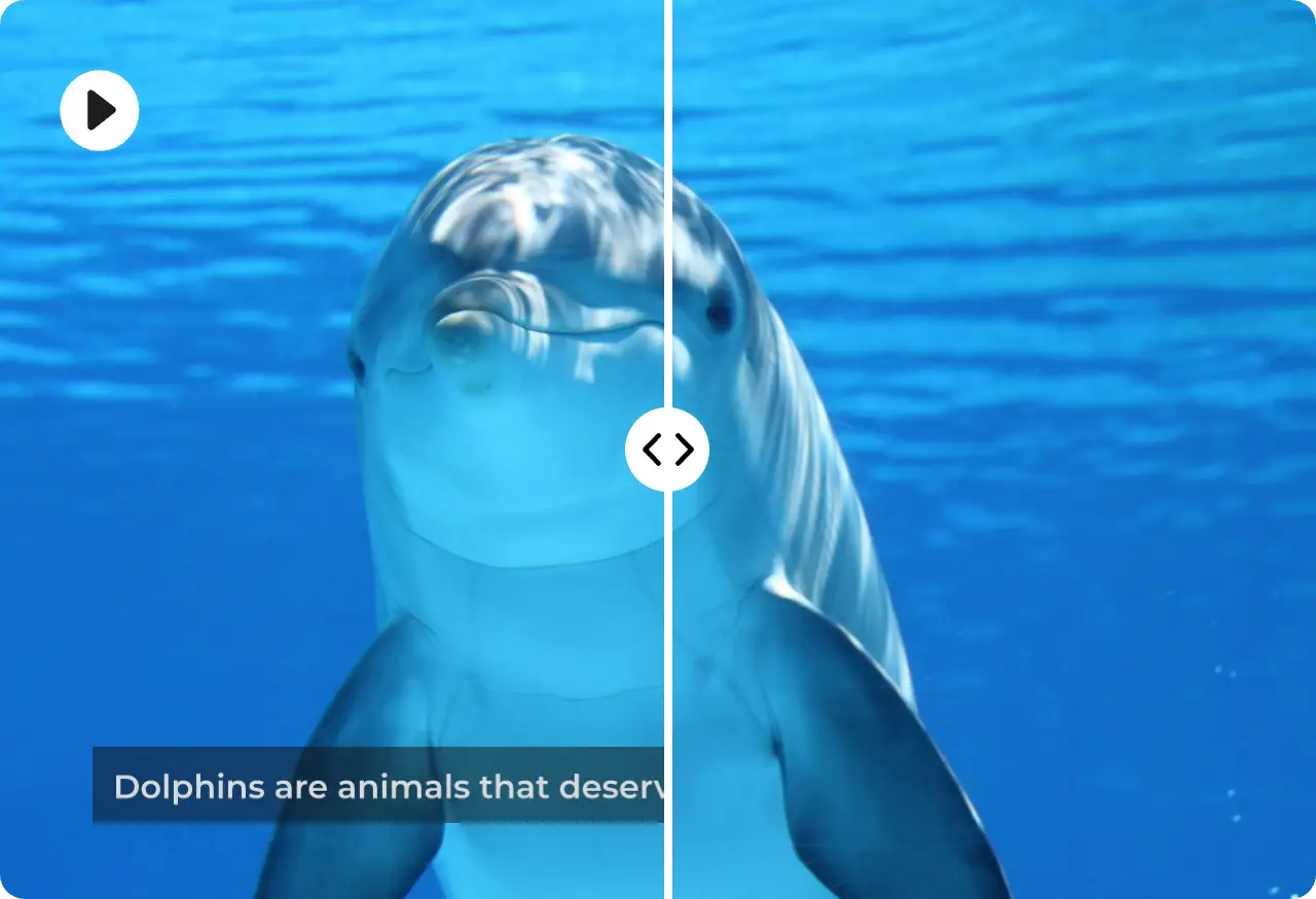 A Remove Watermark Video Workflow for Captions